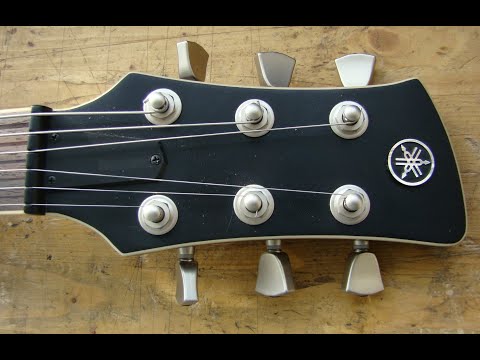 Видео: странный бридж на ямахе