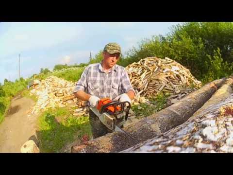 Видео: Пилим толстую берёзу 2. ECHO CS - 510 и Stihl MS 260.