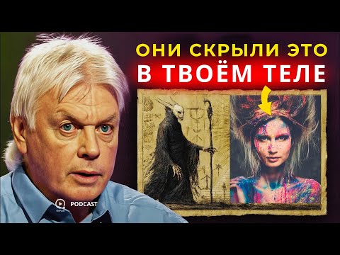 Видео: Код Тела, Матрицы и Симуляции: Тайна, Которую Скрывали От Нас