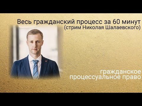 Видео: Весь гражданский процесс за 60 минут (стрим Николая Шалаевского).