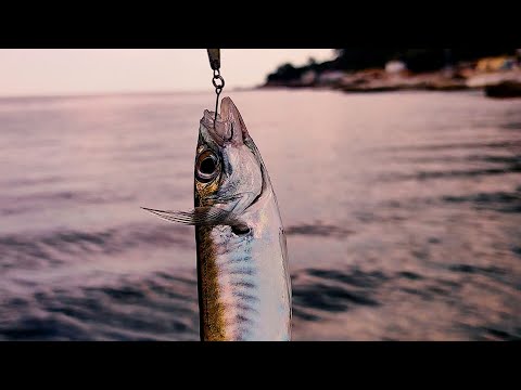 Видео: Рыбалка в Ялте, Нашел Место Где Она Есть. Ловлю Ставриду на Пилькера, Прямо из Сети.