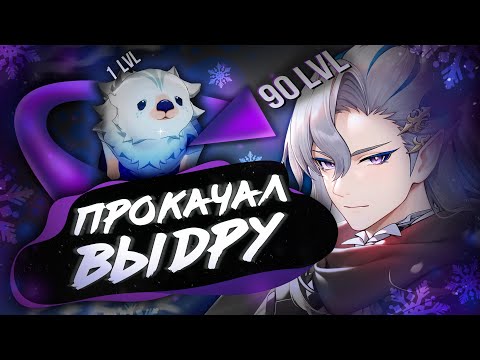 Видео: КАЧАЮ ВСЕХ ПЕРСОВ: НЕВИЛЛЕТ | Genshin Impact