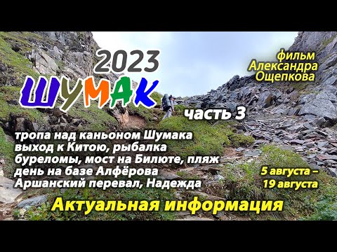 Видео: Шумак 2023 часть 3