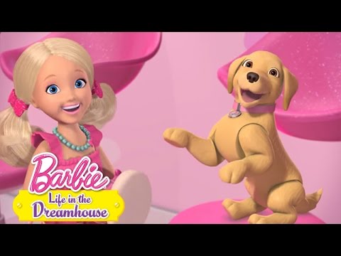 Видео: Епизод 56: Кучешка красота | @Barbie