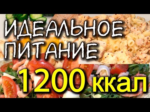 Видео: ПРИМЕР ПИТАНИЯ на 1200 ккал в день / Что есть / МОТИВАЦИЯ НА ПОХУДЕНИЕ система питания / разбор КБЖУ