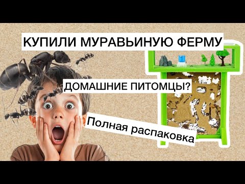 Видео: Домашняя муравьиная ферма для детей! Полная распаковка и полезные советы