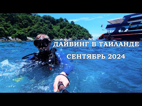 Видео: Таиланд в сентябре! Пхукет. Часть 3. Дайвинг.