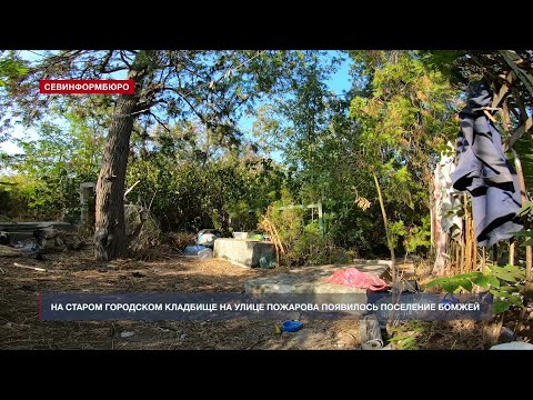 Видео: Кругом мусор и бомжи из склепа: безобразное состояние старого кладбища Севастополя