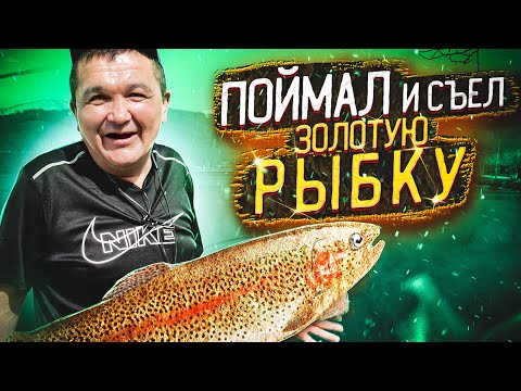 Видео: ПОЙМАЛ и СЪЕЛ ЗОЛОТУЮ РЫБКУ! РОБИНЗОН ПУЗО - НОВОЕ ШОУ