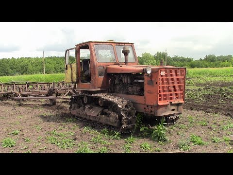 Видео: Трактор Т 4А, Алтаец на культивации поля.