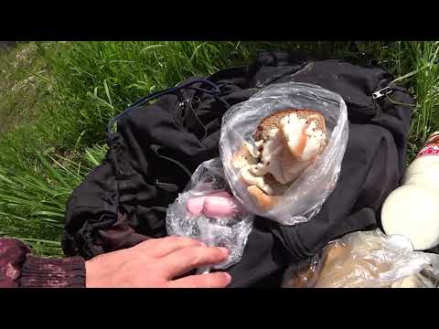 Видео: Рыбалка на спиннинг на р.Ухра.Ярославская область.