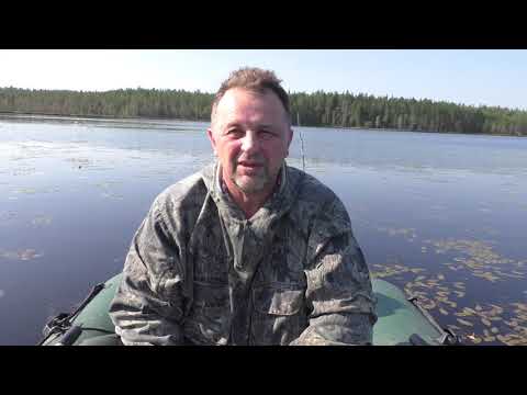 Видео: Рыбалка в августе, в жару! Лесное озеро в Карелии!