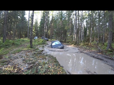 Видео: Koleos, Duster, Шнива, едем вдоль р.Сестры к хвосту самолёта.
