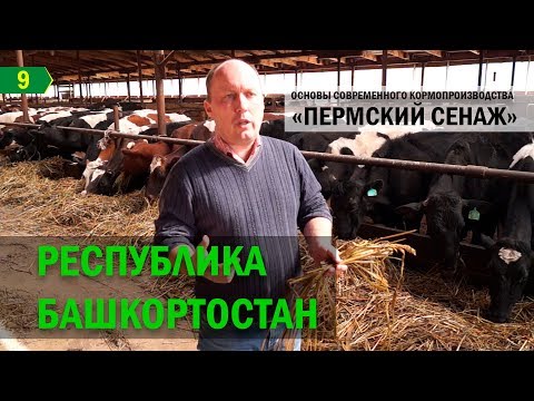 Видео: Республика Башкортостан. «Пермский» сенаж в упаковке.