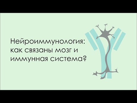 Видео: "Нейроиммунология: как связаны мозг и иммунная система?" Заседание СНК от 02.12.2021