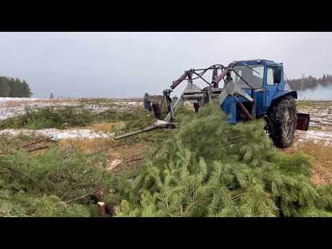 Видео: Чистим 39 гектар заросшего поля!