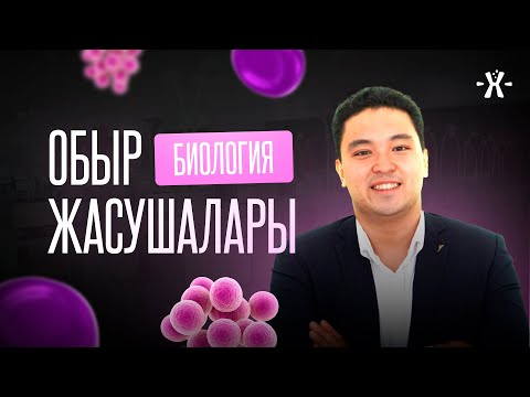 Видео: ОБЫР ЖАСУШАЛАРЫ | БИОЛОГИЯ ҰБТ 2026 | БЕРІК АҒАЙ
