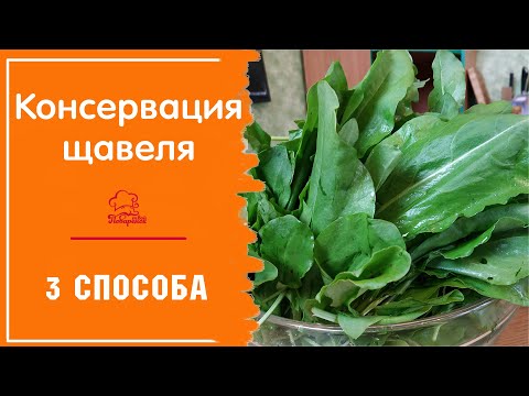 Видео: Консервация щавеля / ПРОСТО ДОБАВЬ ВОДЫ / 3 способа замариновать щавель на зиму / Без стерилизации