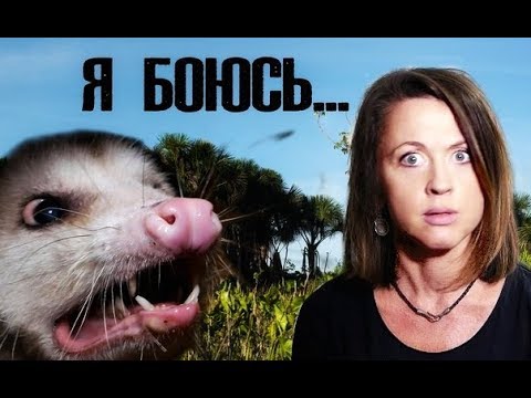 Видео: Чего боится Евгения Тимонова?