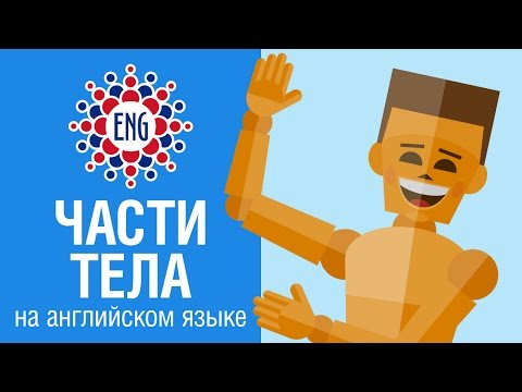 Видео: Части тела  на английском языке | Для детей и начинающих