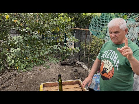 Видео: От чего зависит качество мёда?