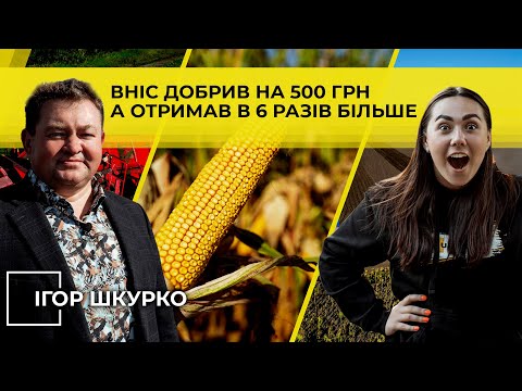 Видео: Я-Куркуль! Ігор Шкурко: про меліорацію, добрива та прибуткові культури | ПрАТ «Чернігівеліткартопля»