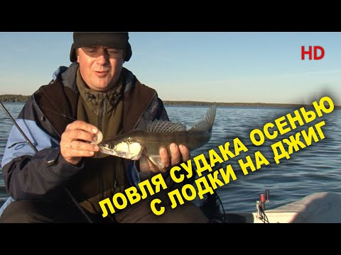 Видео: ЛОВЛЯ СУДАКА ОСЕНЬЮ С ЛОДКИ НА ДЖИГ. "АЗБУКА РЫБАЛКИ с братьями Щербаковыми HD"