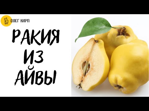Видео: Ракия из Айвы.  Рецепт.  Как правильно сделать по современному.