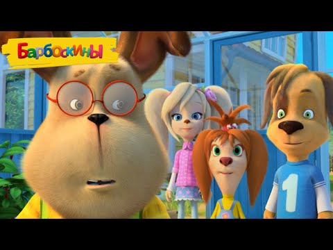 Видео: Барбоскины | Любовь... к экспериментам 🐞🐞🐞 Новая серия | 214