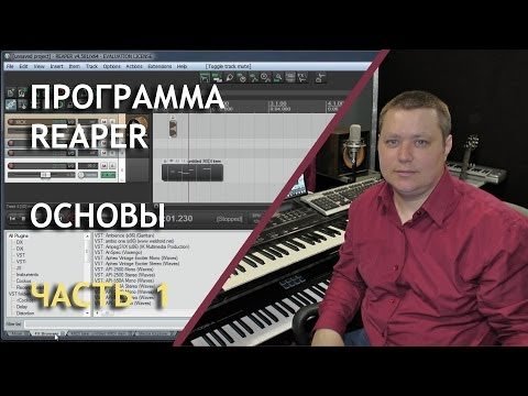 Видео: Программа Reaper - основы для начинающих (часть 1)