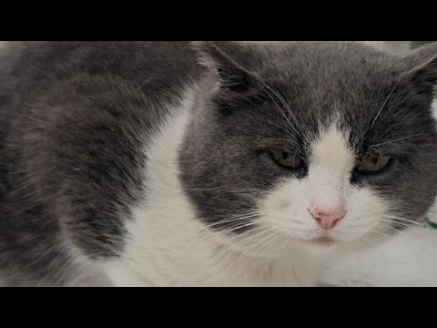 Видео: REZUNOV – Незачем ждать