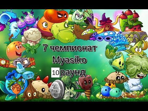 Видео: 10 бой 7 чемпа Myasiko