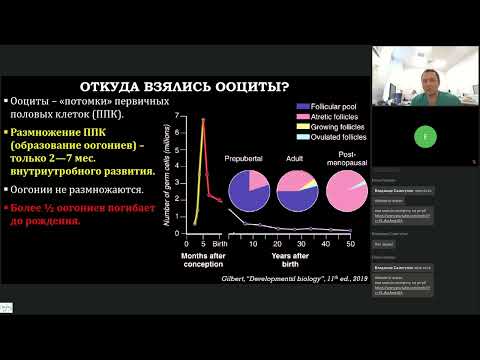 Видео: Стимуляция глазами эмбриолога. Володяев Илья Владимирович