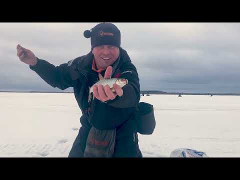 Видео: СУПЕР РЫБАЛКА! Как ловить крупную белую рыбу на мормышку?!