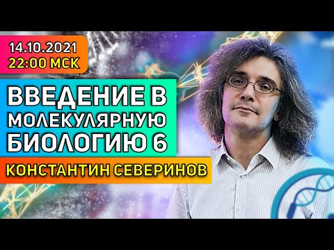 Видео: Константин Северинов. Введение в молекулярную биологию: Антитела и антигены