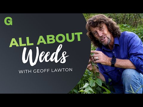 Видео: Все о сорняках