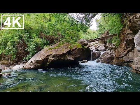 Видео: Успокаивающий горный ручей и прекрасное пение птиц для снятия стресса, сна и релаксации