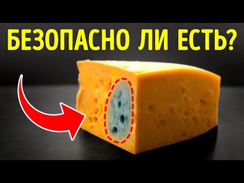 Видео: Что делать, если вы случайно съедите плесень