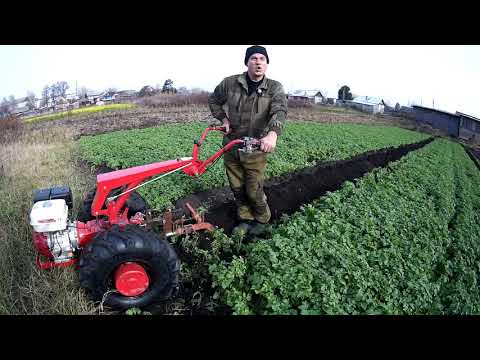 Видео: Мотоблок МТЗ-09Н с плугом.Запахиваем горчицу на сидерат.Пробуем разную резину.6/12? 7/12?Что лучше?