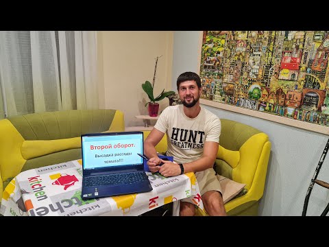 Видео: Советы по высадке рассады томата на второй оборот!!!