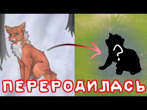 Видео: 😱 ПЕРЕРОДИЛА КАМЫШЕЕДКУ!! Кто я теперь? || CatWar 😱