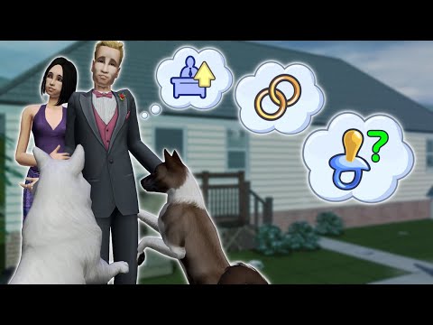 Видео: Семья Брок как всегда... || The Sims 2 // Летсплей в Мегахуде