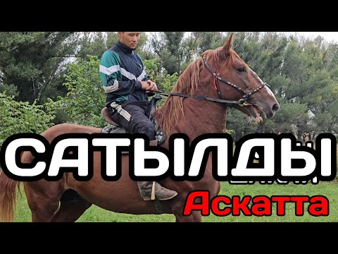 Видео: САТЫЛДЫ ДАКАН