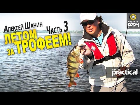 Видео: Летом за трофеем! Часть 3. Щука и окунь на минноу. Алексей Шанин. Anglers Practical