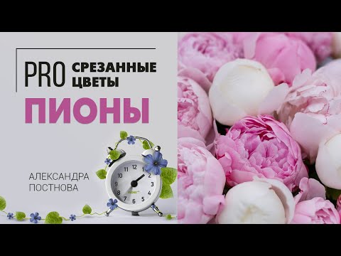 Видео: Пионы и Букет из пионов | Секреты свежести цветка в вазе