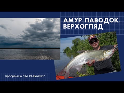 Видео: Река Амур. Паводок. Верхогляд