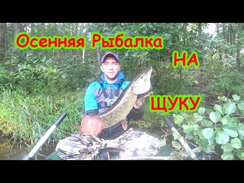 Видео: ОСЕННЯЯ РЫБАЛКА на ЩУКУ!!! ОБЗОР НОВОЙ ЛОДКИ!!!