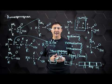 Видео: Аминқышқылдарын алу және қасиеттері. 11 сынып.