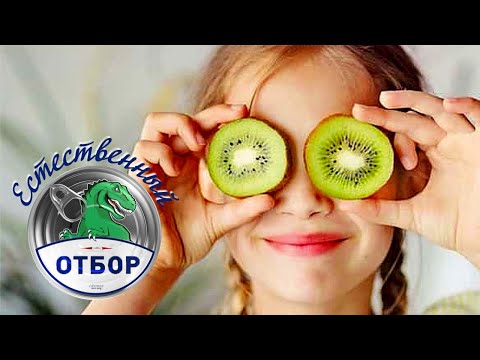 Видео: "Естественный отбор". Киви