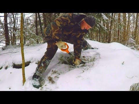 Видео: Я НАШЕЛ ИХ ЗИМОЙ ПОД СНЕГОМ! Зимний коп и находки на металлоискатель. В поиске кладов!